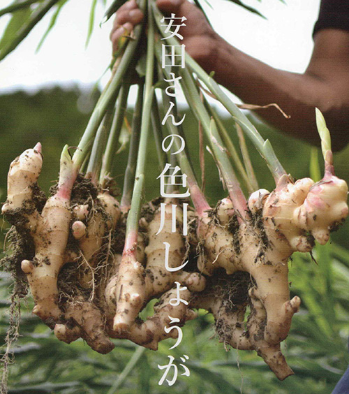 ���c����