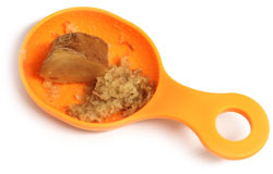 �W���W���[